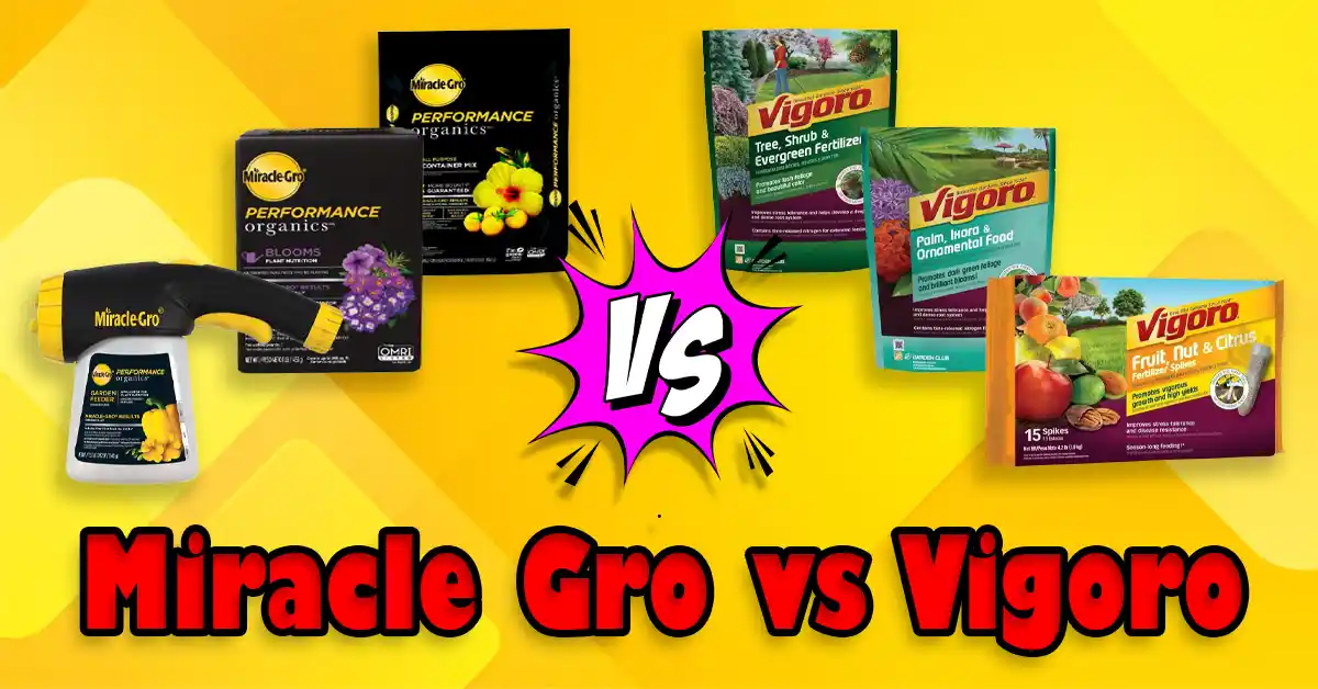 Miracle Gro vs Vigoro